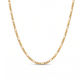 Bold Figaro Chain Necklace