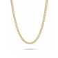 Double Curb Chain Necklace