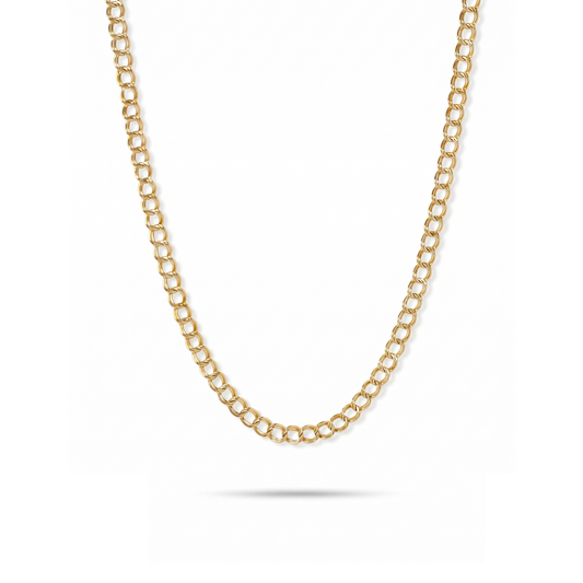 Double Curb Chain Necklace
